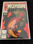 Wolverine #30