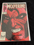 Wolverine #21